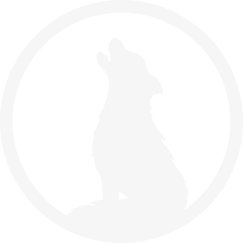 Logo-LupusMedia_White_M